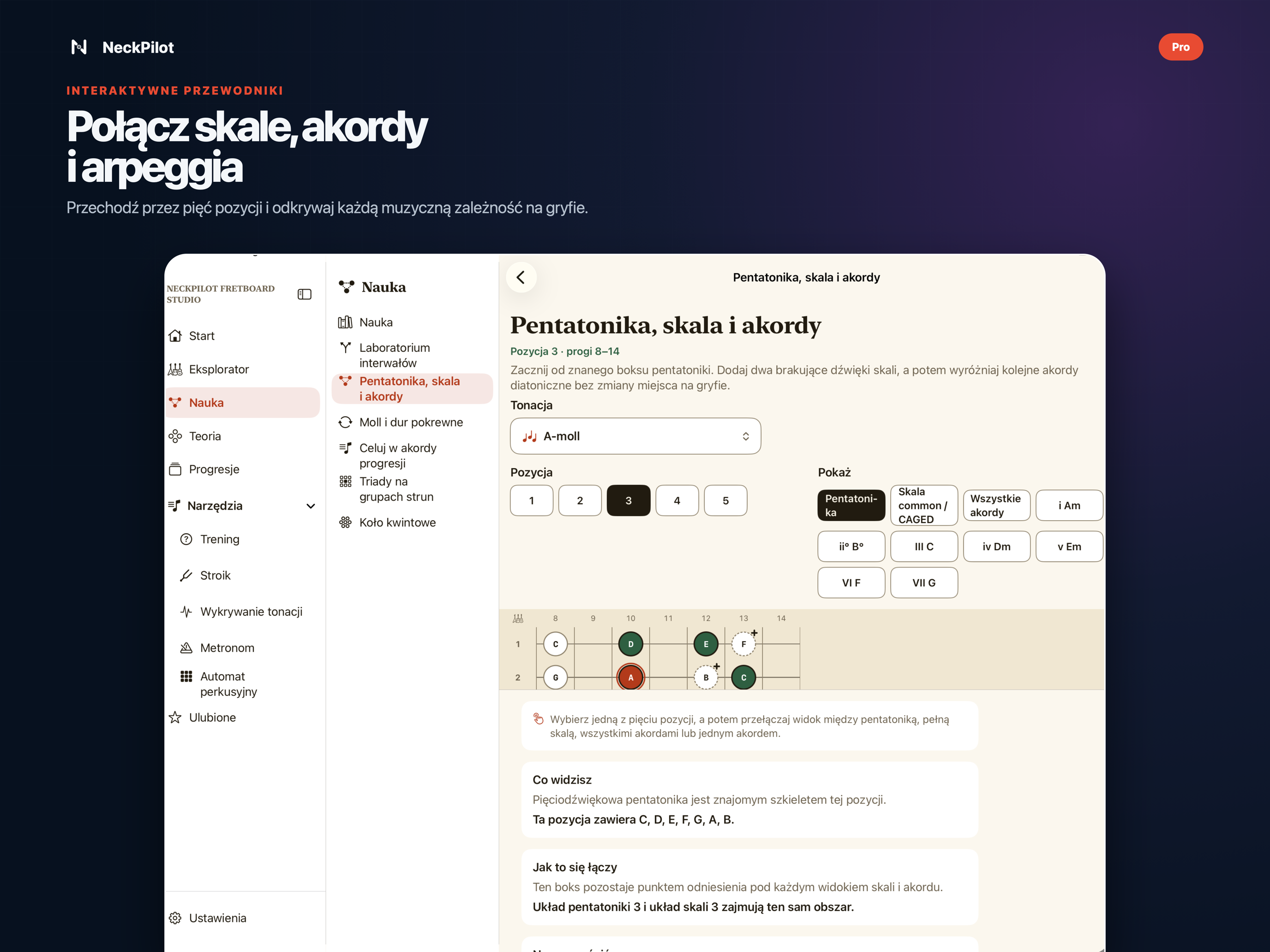 Przewodniki Teorii obok pełnego katalogu